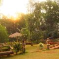 Bamboo-and-bricks-Ambience-13