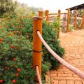 Bamboo-and-bricks-Ambience-20